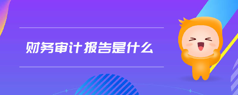 財務(wù)審計報告是什么