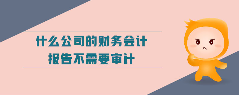 什么公司的財務(wù)會計報告不需要審計