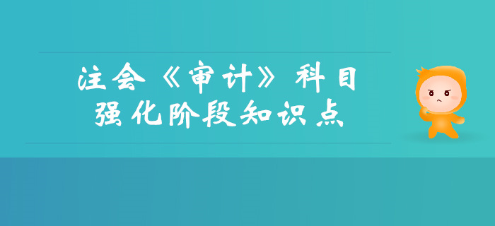 2019年注會(huì)《審計(jì)》強(qiáng)化階段知識(shí)點(diǎn)匯總