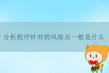 分析程序針對的風(fēng)險點一般是什么？