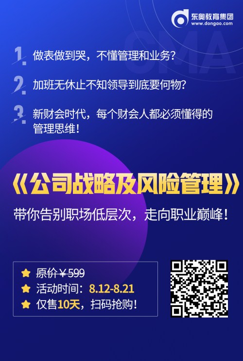 公司戰(zhàn)略及風(fēng)險(xiǎn)管理