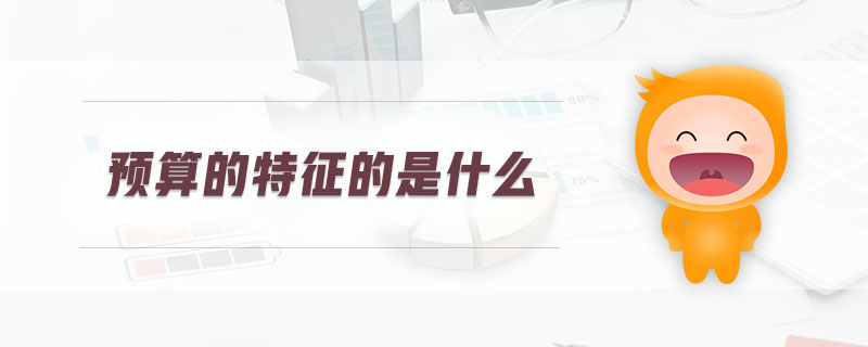 預算的特征的是什么