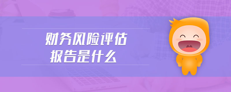 財務(wù)風險評估報告是什么