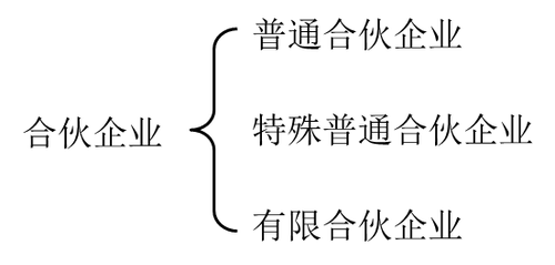 中級(jí)會(huì)計(jì)師財(cái)務(wù)管理