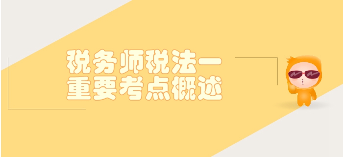 稅務(wù)師《稅法一》第二章增值稅-重要考點概述