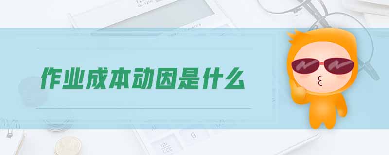 作業(yè)成本動(dòng)因是什么