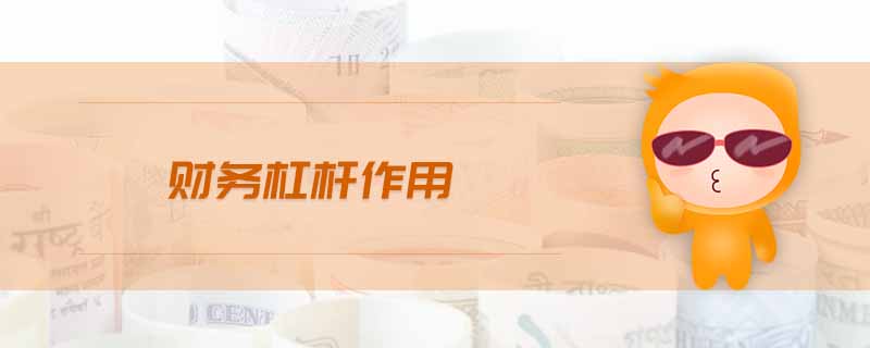 財(cái)務(wù)杠桿作用