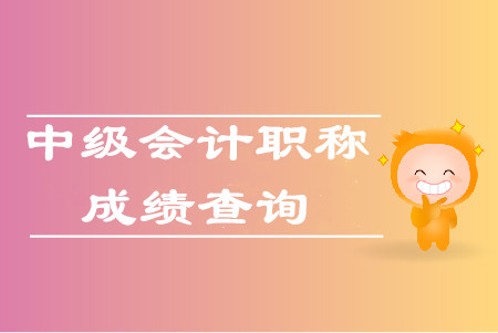 2019年天津中級(jí)會(huì)計(jì)職稱(chēng)考試成績(jī)查詢(xún)?nèi)肟谑裁磿r(shí)候開(kāi)通？