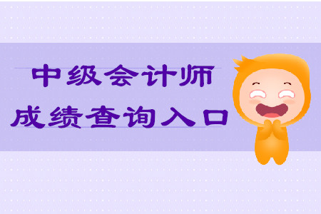 2019年安徽中級會計師成績查詢?nèi)肟诠剂藛幔? alt=