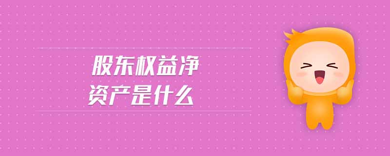 股東權益凈資產(chǎn)是什么