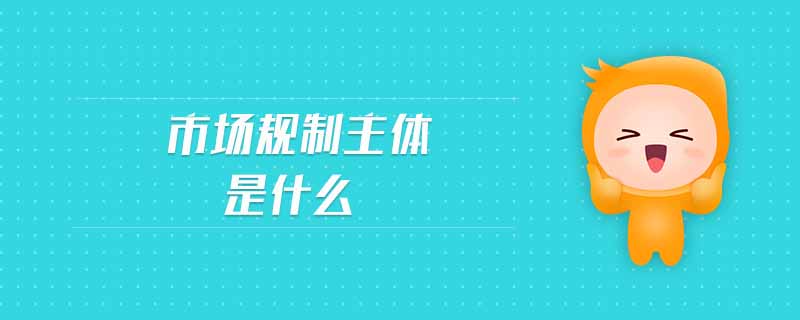 市場規(guī)制主體是什么