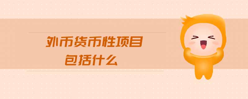 外幣貨幣性項(xiàng)目包括什么
