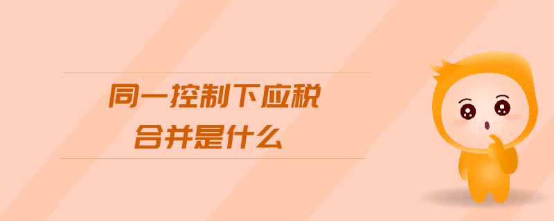同一控制下應(yīng)稅合并是什么
