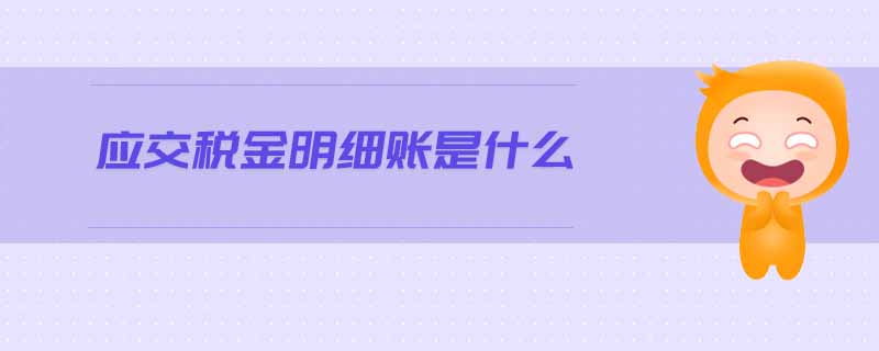 應(yīng)交稅金明細(xì)賬是什么