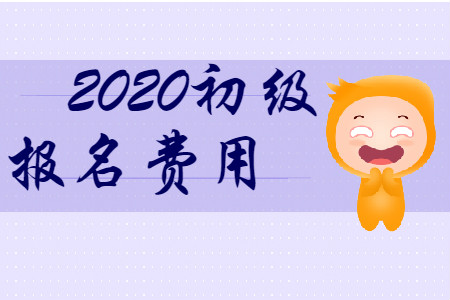 2020年初級(jí)會(huì)計(jì)職稱考試報(bào)名費(fèi)是多少？