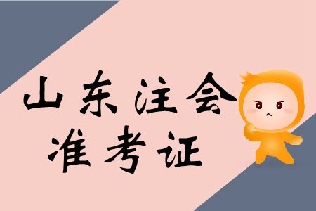 2019年山東cpa專業(yè)階段準考證打印入口及常見問題