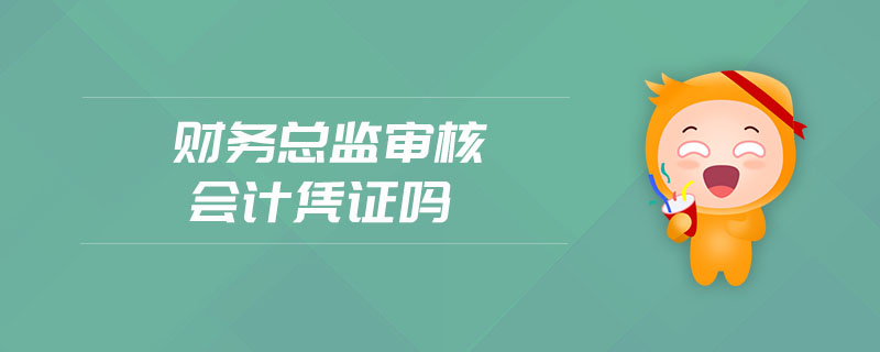 財務(wù)總監(jiān)審核會計憑證嗎