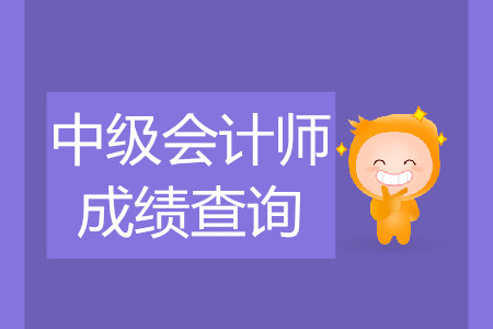 2019年中級(jí)會(huì)計(jì)師成績(jī)查詢?nèi)肟冢喝珖鴷?huì)計(jì)資格評(píng)價(jià)網(wǎng)