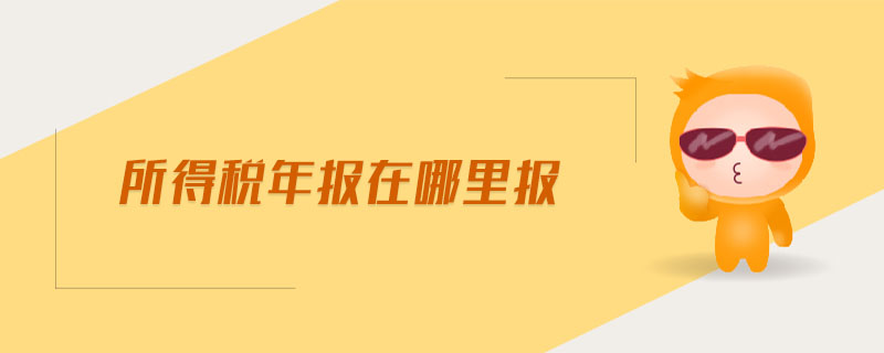 所得稅年報(bào)在哪里報(bào)