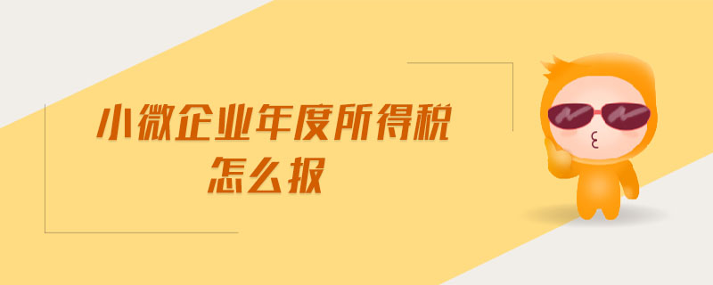 小微企業(yè)年度所得稅怎么報