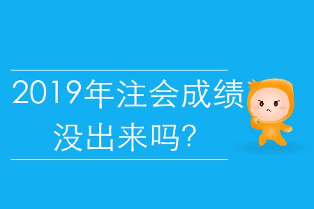 2019年注會(huì)成績(jī)沒出來嗎？