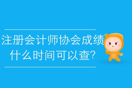 2019年注冊會計(jì)師協(xié)會成績什么時(shí)間可以查？