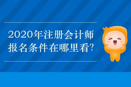 2020年注冊會計師的報名條件在哪里看？