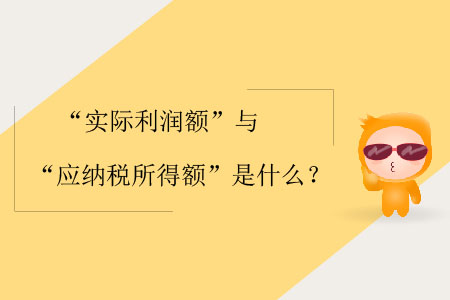 “實際利潤額”與“應納稅所得額”是什么？