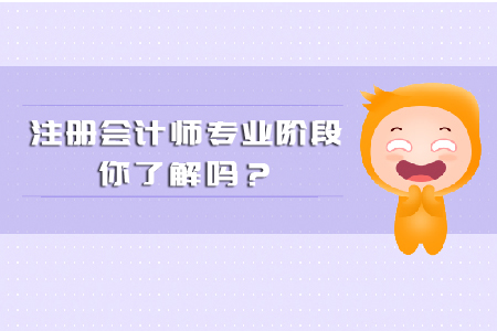 注冊會計師專業(yè)階段你都了解多少？