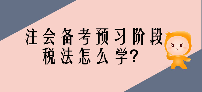 2020年注會備考預(yù)習(xí)階段，稅法怎么學(xué)？