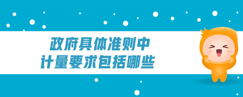 政府具體準(zhǔn)則中計(jì)量要求包括哪些