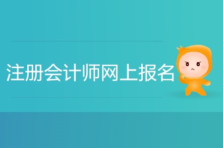 2020年注冊會計(jì)師網(wǎng)上報(bào)名入口指南