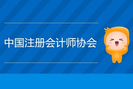 2020年中國注冊(cè)會(huì)計(jì)師協(xié)會(huì)報(bào)名網(wǎng)站在哪？