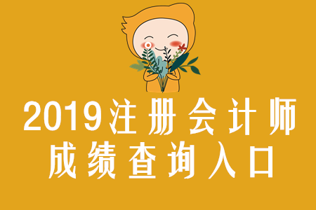 河北2019年注冊會計師成績查詢?nèi)肟谝验_通