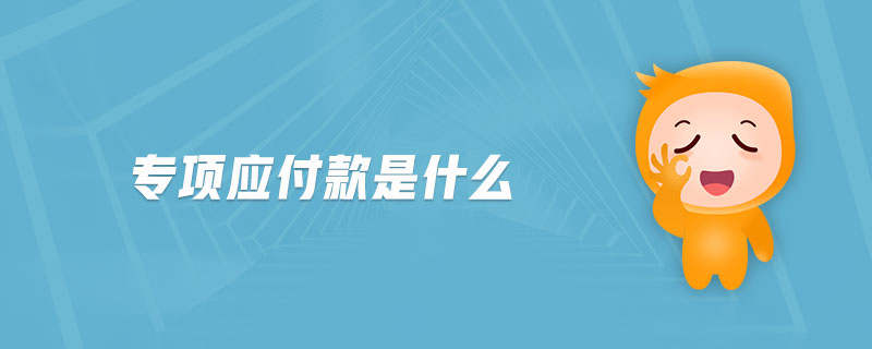 專項應付款是什么