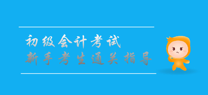 初級(jí)會(huì)計(jì)資格考試備考寶典：新手考生通關(guān)指導(dǎo)