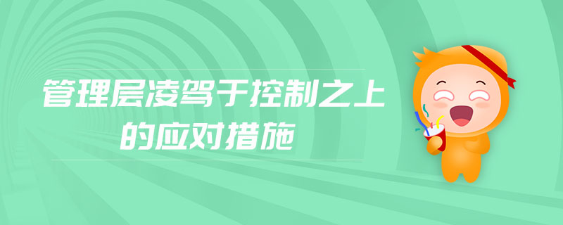 管理層凌駕于控制之上的應(yīng)對(duì)措施