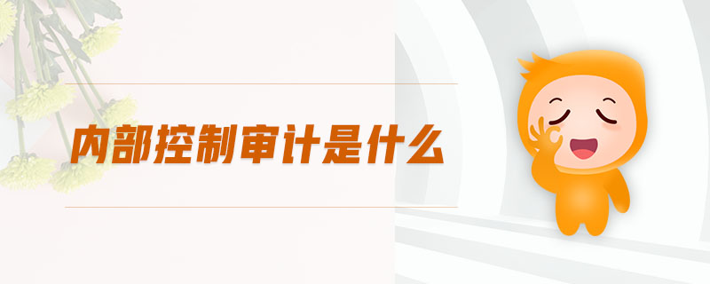 內(nèi)部控制審計(jì)是什么