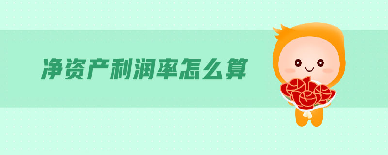 凈資產(chǎn)利潤率怎么算