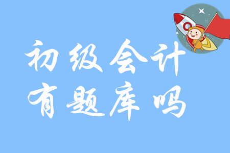 2020年初級會計師考試有題庫嗎？
