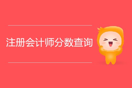 2019年注冊會計(jì)師分?jǐn)?shù)查詢具體時間是哪天？