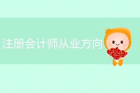 注冊(cè)會(huì)計(jì)師從業(yè)方向具體有哪些？