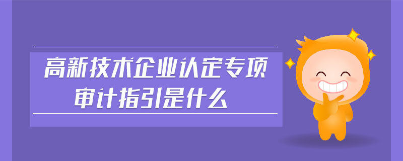 高新技術(shù)企業(yè)認(rèn)定專項(xiàng)審計(jì)指引是什么