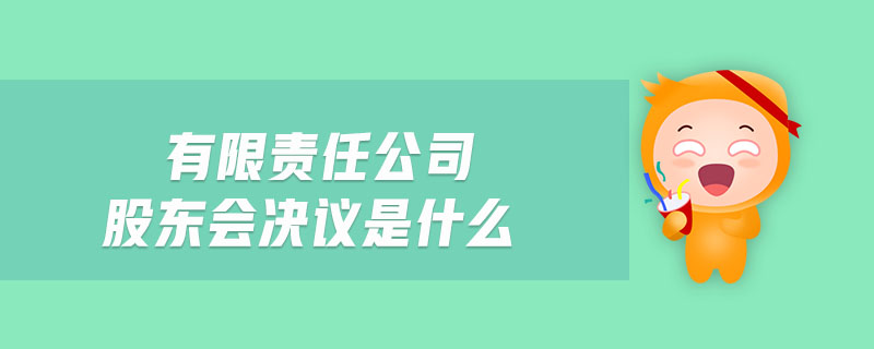 有限責(zé)任公司股東會(huì)決議是什么