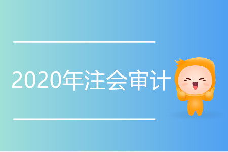 2020年注會審計變化集中在哪個章節(jié)？