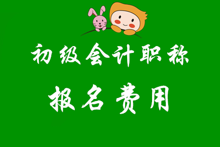 初級會計師考試報名費是多少？
