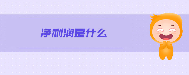 凈利潤(rùn)是什么