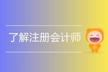 報(bào)考不再猶豫！一文帶你了解注冊(cè)會(huì)計(jì)師的方方面面！