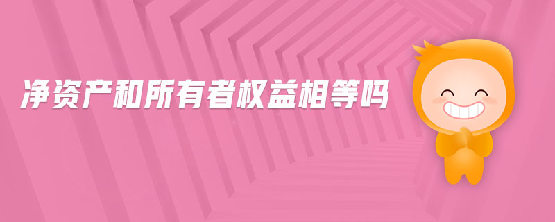 凈資產(chǎn)和所有者權益相等嗎