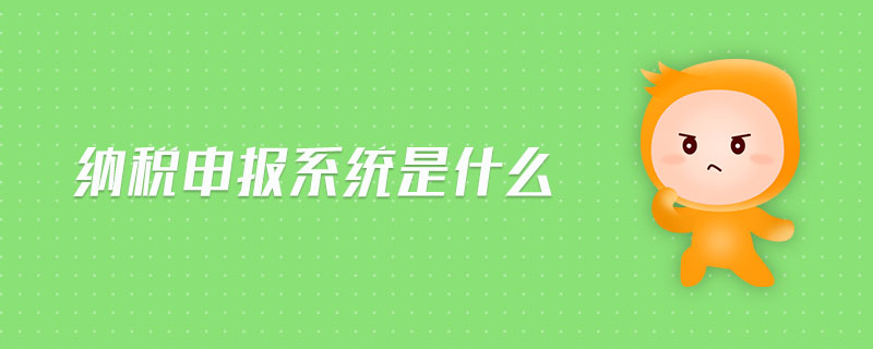 納稅申報(bào)系統(tǒng)是什么